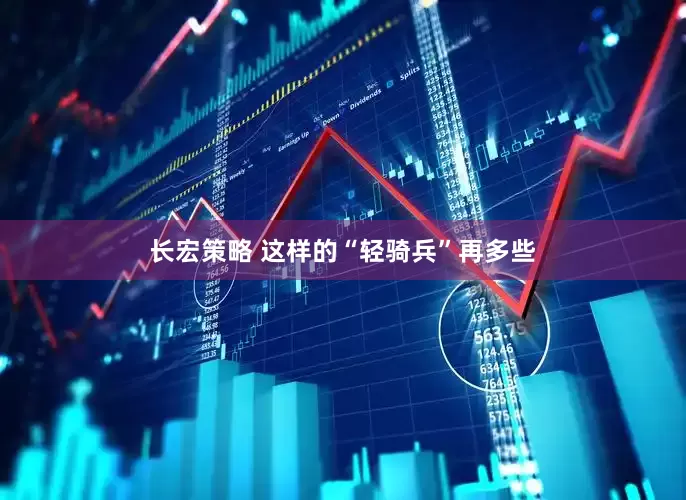 长宏策略 这样的“轻骑兵”再多些