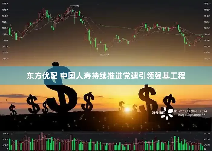 东方优配 中国人寿持续推进党建引领强基工程