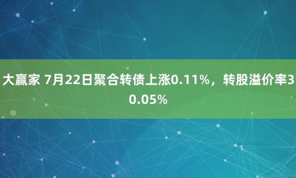 大赢家 7月22日聚合转债上涨0.11%，转股溢价率30.05%